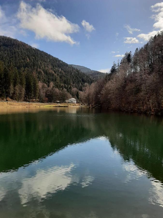 BocksbergGlück in Hahnenklee, Endreinigung, bezogene Betten, Handtücher inklusive Goslar Exterior foto