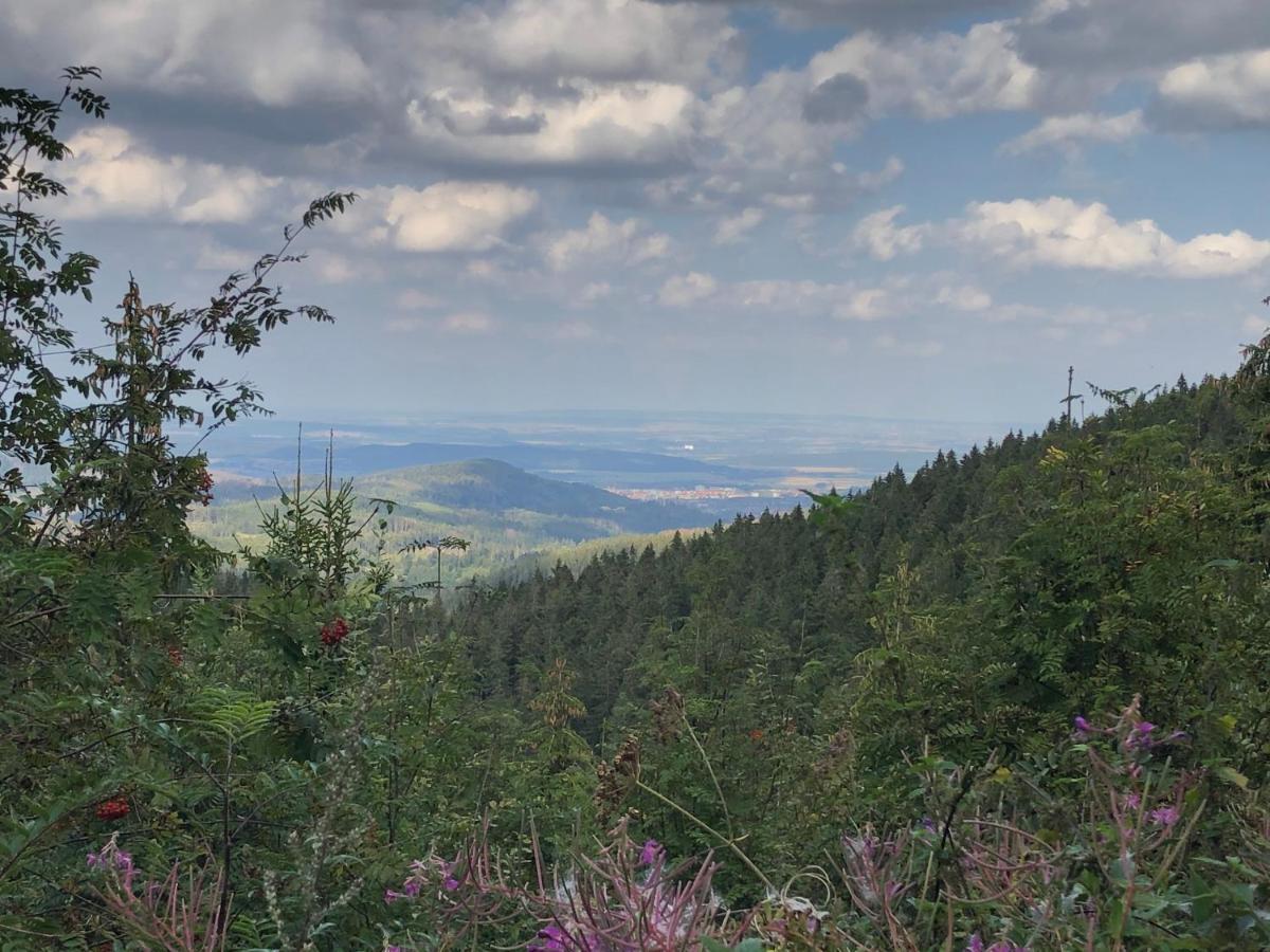 BocksbergGlück in Hahnenklee, Endreinigung, bezogene Betten, Handtücher inklusive Goslar Exterior foto